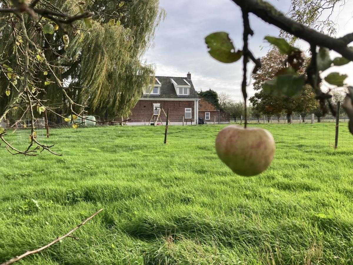 'de Ontspanning' * Axel